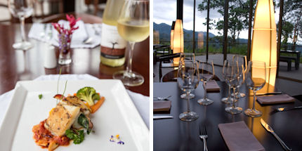 Enjoy Ecuadorian cuisine with herbs picked from the forest